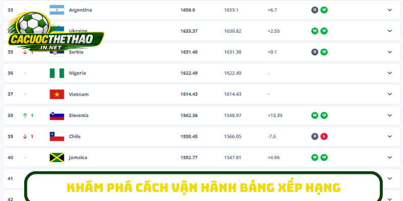 Khám phá cách vận hành bảng xếp hạng
