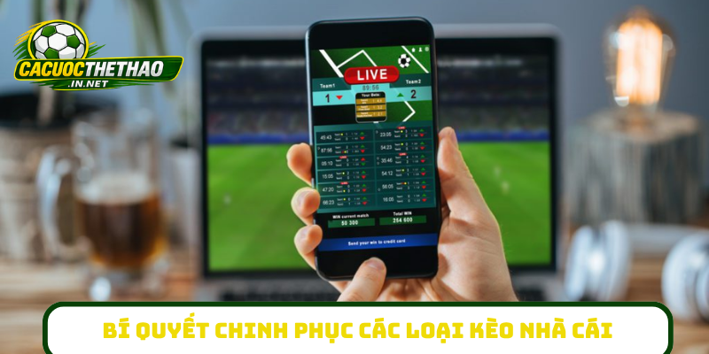 Bí quyết chinh phục các loại kèo nhà cái