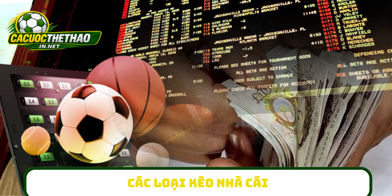 Các loại kèo nhà cái