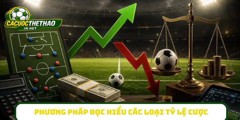 Phương pháp đọc hiểu tốt nhất các loại tỷ lệ cược