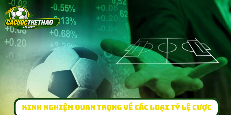 Kinh nghiệm quan trọng về các loại tỷ lệ cược