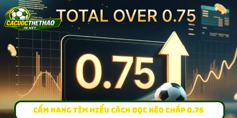Cẩm nang tìm hiểu cách đọc kèo chấp 0.75