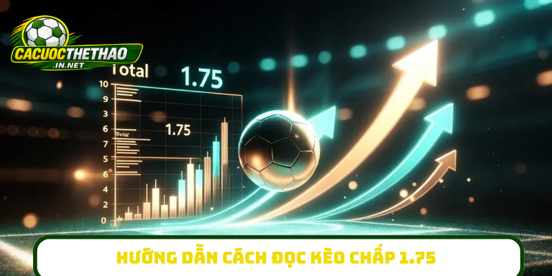 Hướng dẫn cách đọc kèo chấp 1.75