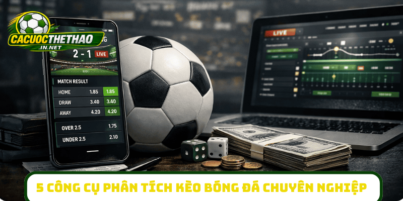5 công cụ phân tích kèo bóng đá chuyên nghiệp