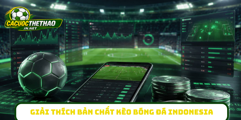 Giải thích chi tiết bản chất kèo bóng đá Indonesia