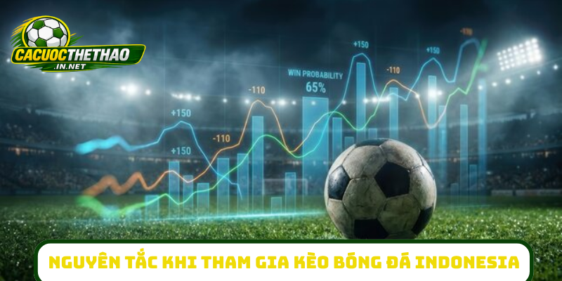 Nguyên tắc khi tham gia kèo bóng đá Indonesia
