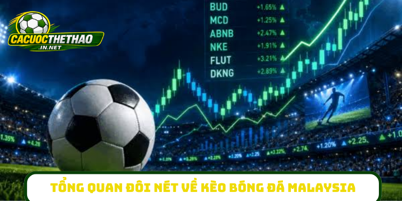 Tổng quan đôi nét về kèo bóng đá Malaysia