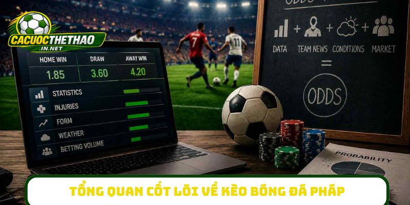 Tổng quan cốt lõi về kèo bóng đá Pháp