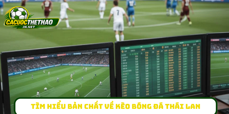Tìm hiểu bản chất về kèo bóng đá Thái Lan