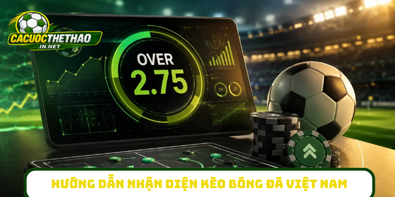 Hướng dẫn nhận diện kèo bóng đá Việt Nam