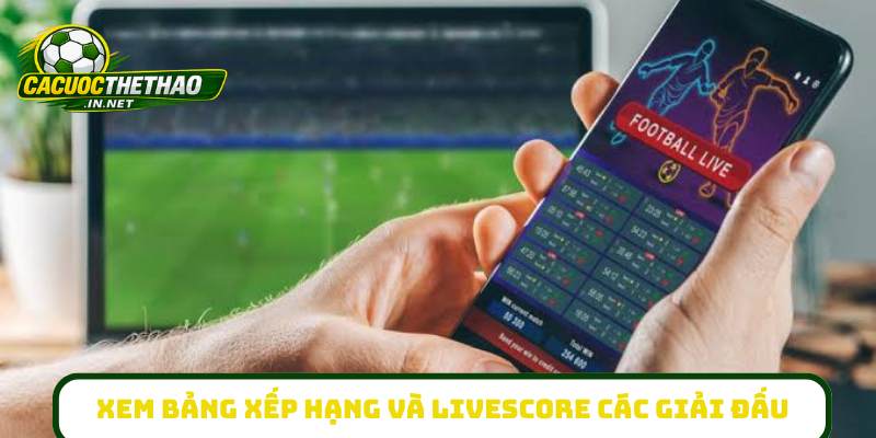 Xem bảng xếp hạng và livescore các giải đấu