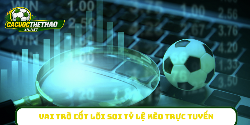 Vai trò cốt lõi soi tỷ lệ kèo trực tuyến