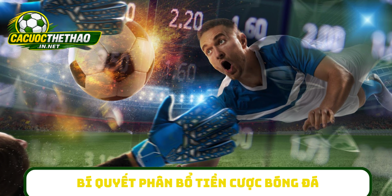 Bí quyết phân bổ tiền cược bóng đá
