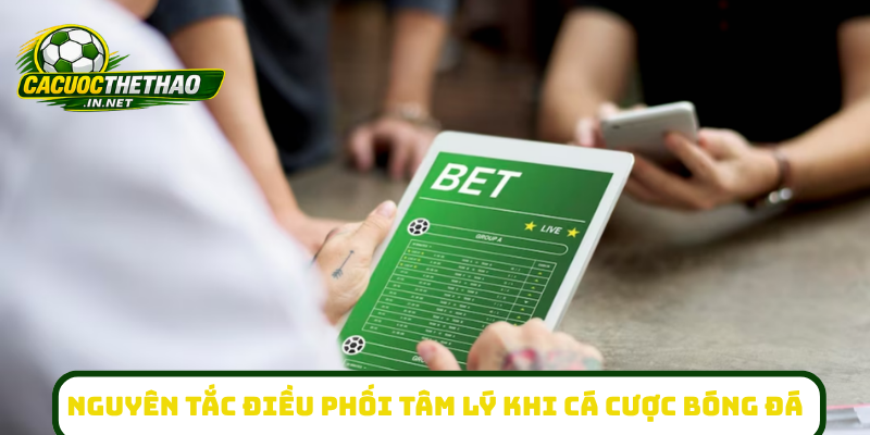 Nguyên tắc điều phối tâm lý khi cá cược bóng đá