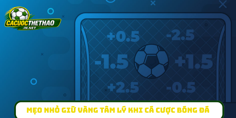 Mẹo nhỏ giữ vàng tâm lý khi cá cược bóng đá
