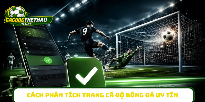 Phương pháp phân tích trang cá độ bóng đá uy tín