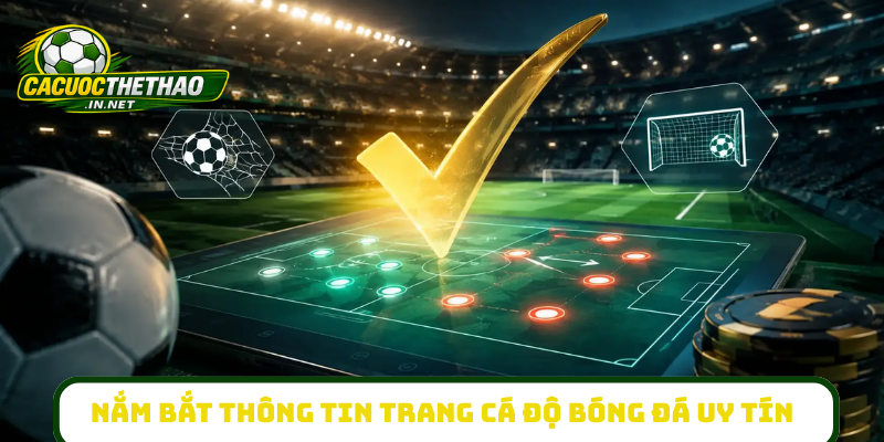 Bí kíp nắm bắt thông tin tại trang cá độ bóng đá uy tín