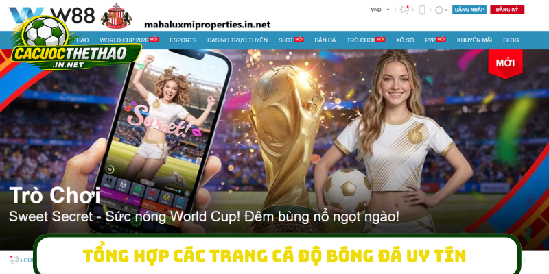 Tổng hợp các trang cá độ bóng đá uy tín