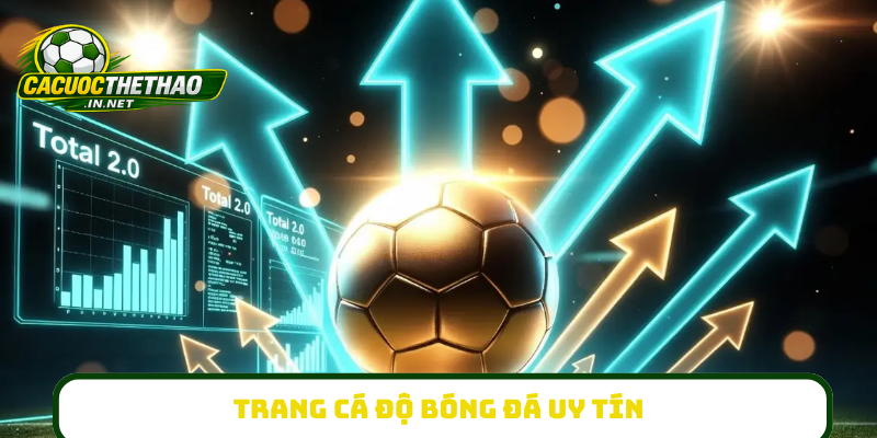 Trang cá độ bóng đá uy tín