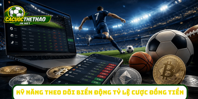 Kỹ năng theo dõi biến động tỷ lệ cược đồng tiền