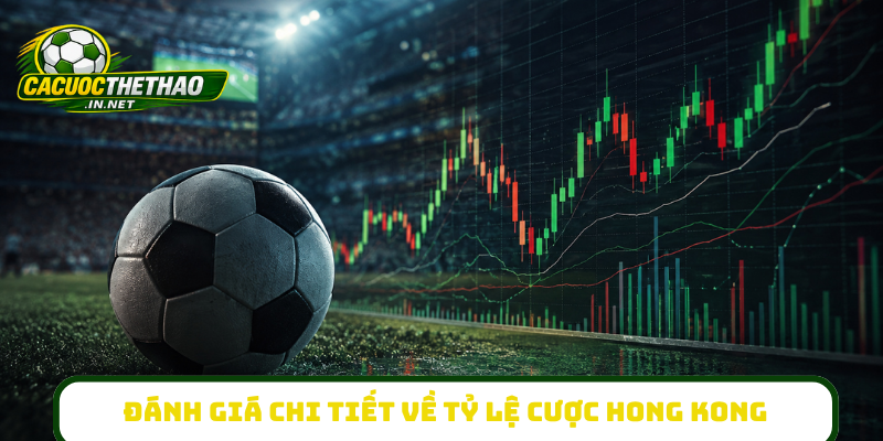 Đánh giá chi tiết về tỷ lệ cược Hong Kong
