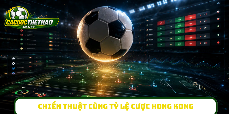 Chiến thuật thực chiến cùng tỷ lệ cược Hong Kong