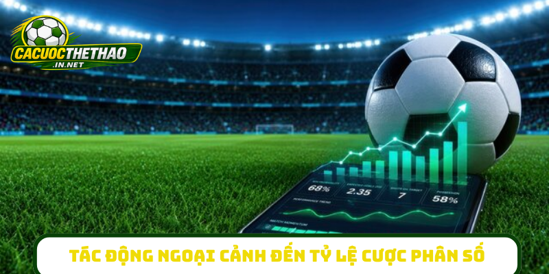 Tác động ngoại cảnh đến tỷ lệ cược phân số